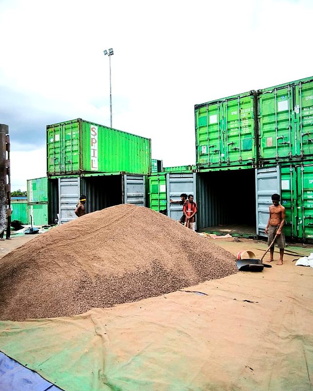 Loading Preparation — Palm Kernel Expeller, East Kalimantan