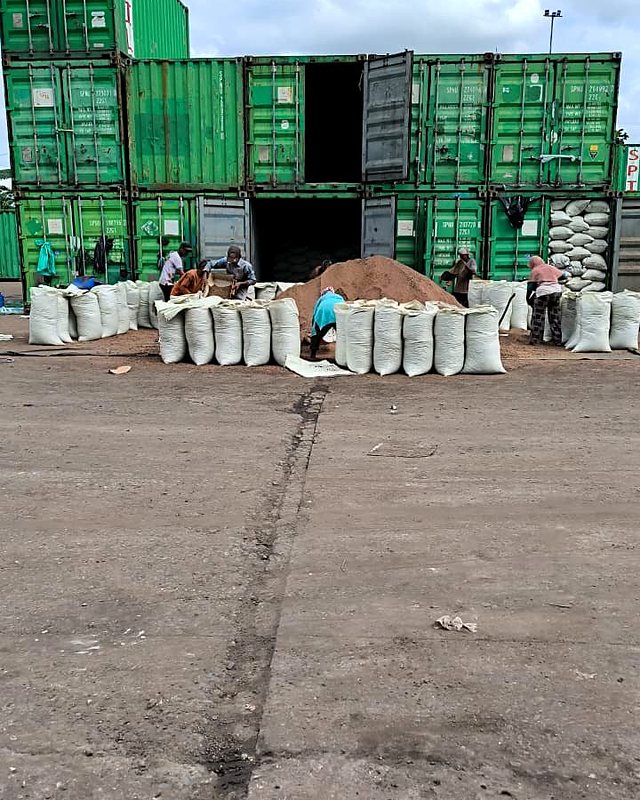 Packing in the Container Area — Palm Kernel Expeller, East Kalimantan