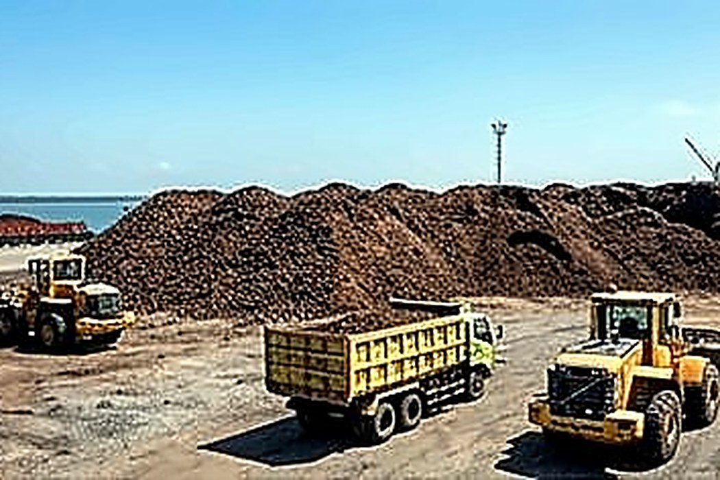 Truck Loading — Palm Kernel Shell, East Kalimantan