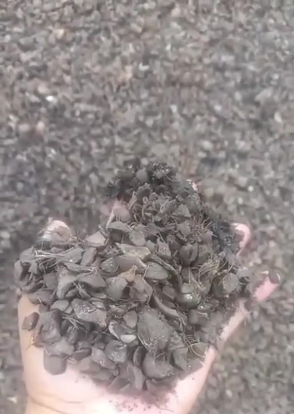 Shell Check by Hand — Palm Kernel Shell, East Kalimantan